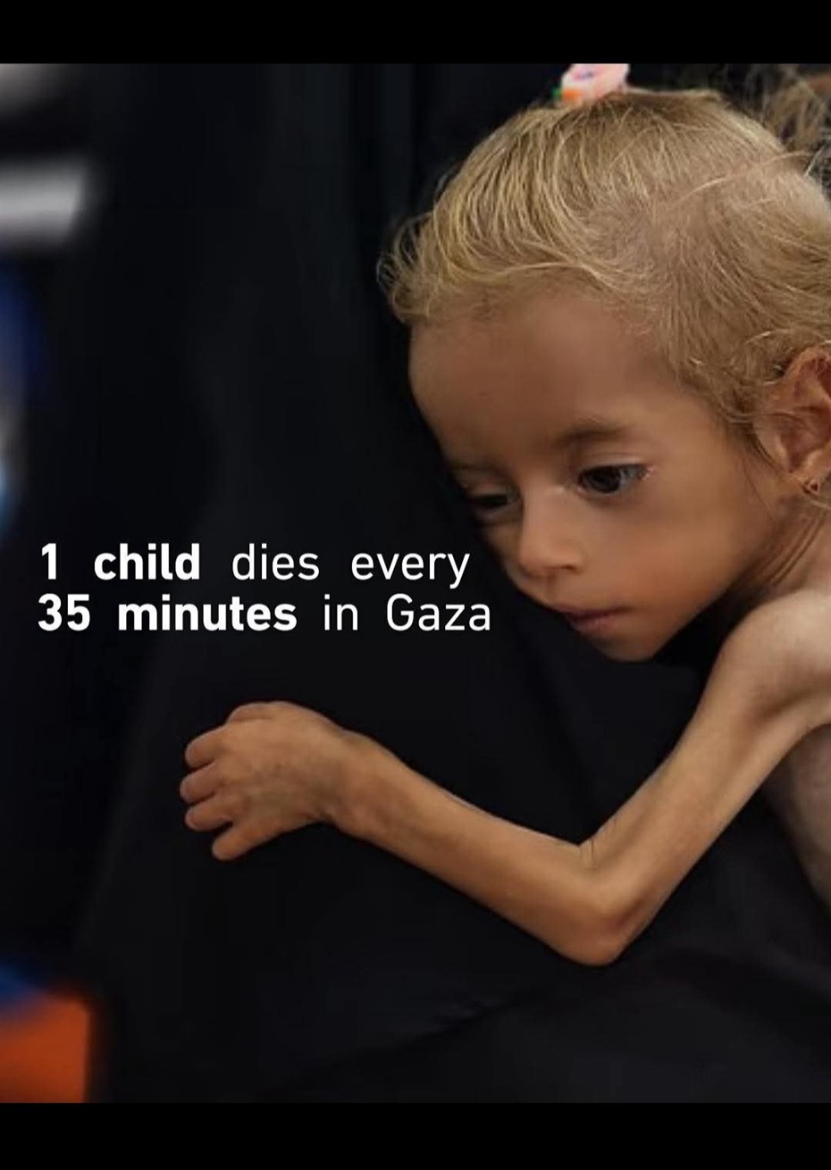 Indsamling til palæstinas børn 