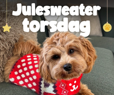 Maxi Zoo x Red Barnet