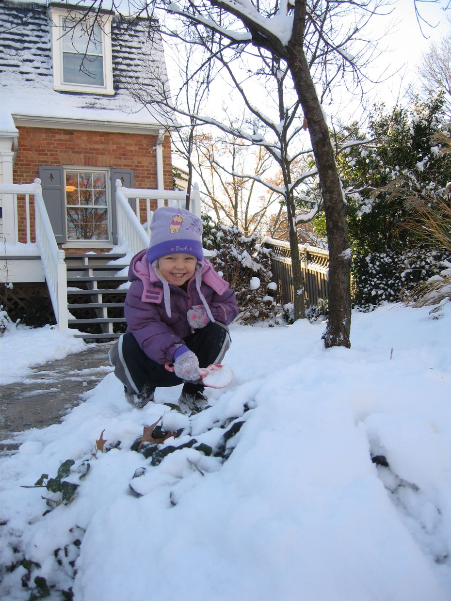 Annas juleindsamling